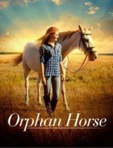 Постер Сиротка (Orphan Horse)