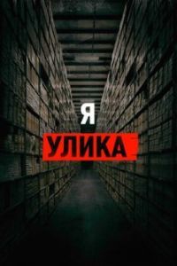 Постер Я - улика (I Am Evidence)