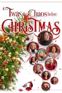 Постер Хаос перед Рождеством (Twas the Chaos before Christmas)