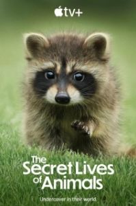Постер Тайная жизнь животных (The Secret Lives of Animals)