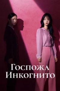 Постер Госпожа Инкогнито (Jakhan yeoja Bu Semi)