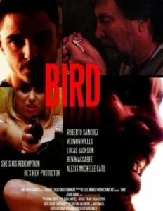 Постер Пташка (Bird 2020)