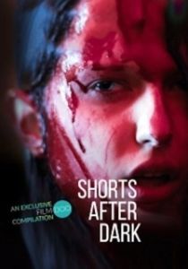 Постер Истории для просмотра в темноте (Shorts After Dark)