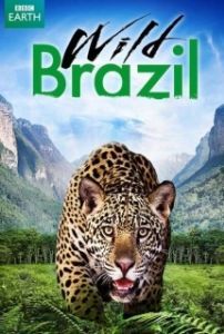 Постер Дикая Бразилия (Wild Brazil)