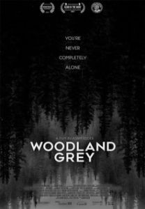 Постер Серый лес (Woodland Grey)