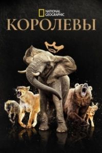 Постер Королевы (Queens)