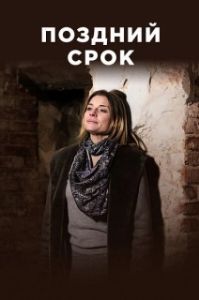 Постер Поздний срок 