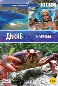 Постер BBC: Дикие Карибы (Wild Caribbean)