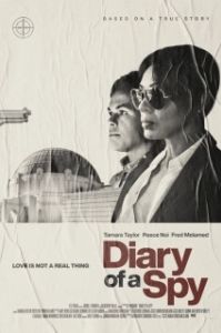 Постер Дневник шпионки (Diary of a Spy)