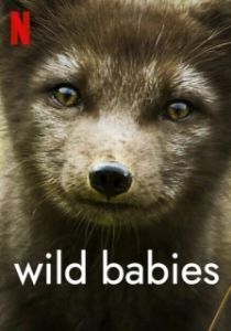 Постер Детки не в клетке (Wild Babies)