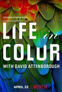 Постер Жизнь в цвете с Дэвидом Аттенборо (Life in Colour)