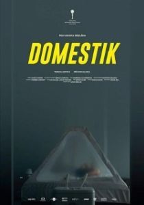 Постер Домашний режим (Domestik)