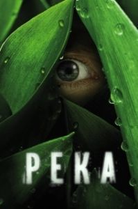 Постер Река (The River)