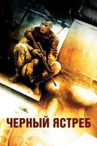 Постер Чёрный ястреб (Black Hawk Down)
