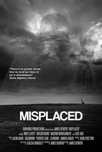Постер Потерянный (Misplaced)