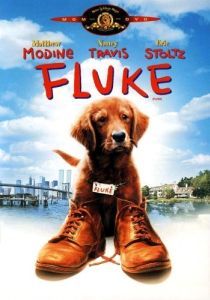Постер Флюк (Fluke)