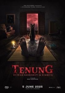 Постер Заклятие (Tenung)