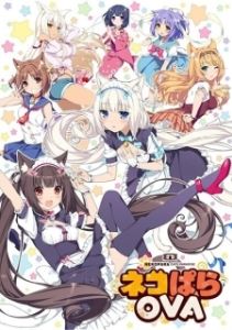 Постер Кошачий рай (Nekopara)
