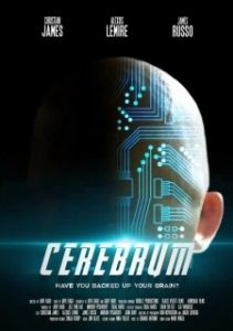Постер Мозг (Cerebrum)