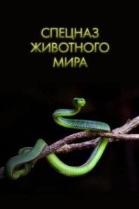 Постер Спецназ животного мира (Animal Special Forces)