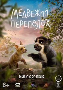 Постер Медвежий переполох (Milagros: Una osa extraordinaria)