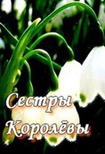 Постер Сестры Королевы 