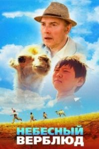 Постер Небесный верблюд 