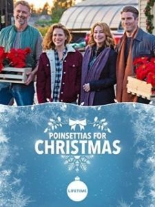Постер Пуансеттии на Рождество (Poinsettias for Christmas)