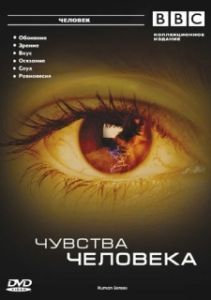 Постер BBC: Чувства человека (Human Senses)