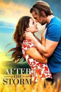 Постер После бури (After the Storm)